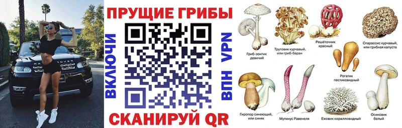 Галлюциногенные грибы GOLDEN TEACHER купить закладку Советск
