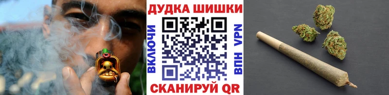 Конопля SATIVA & INDICA  закладки  Советск 